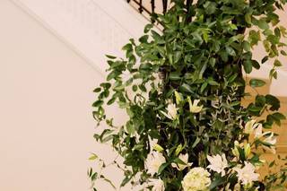 Emily Blumberg Photography - 9