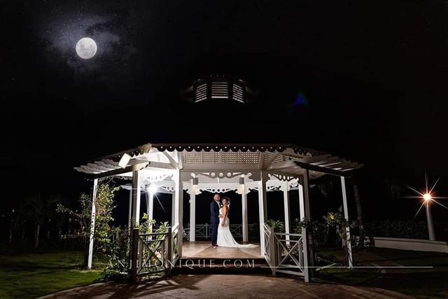 Anji Monique Photography & Company - 1