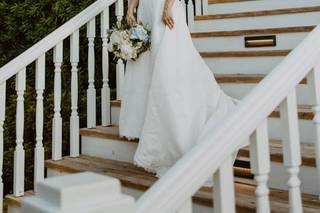 Ivory and Beau - 100