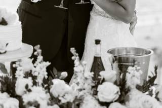 Elope Tampa Bay - 12