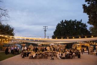 Vega Vineyard & Farm - 6