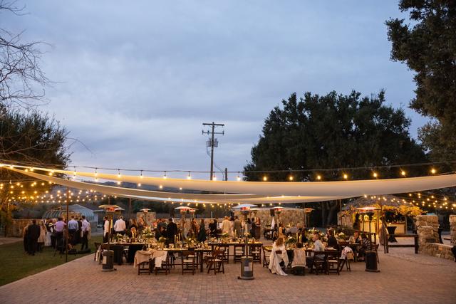 Vega Vineyard & Farm - 1