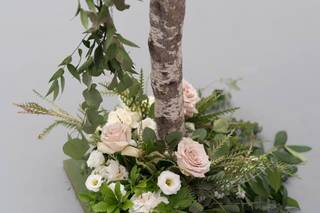 Carolyn Morin - 35