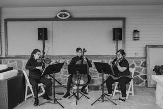 J&K Strings - 20