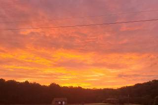 Wolftrap Farm - 6