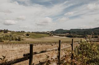 Abbey Road Farm - 60
