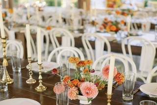 Peachy Keen Coordination - 5