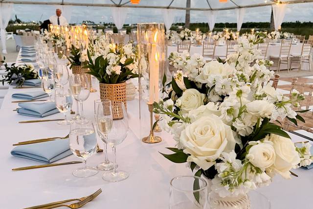 Ocean Breeze Party Rental 1