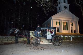 Debbie Segreve Photography - 16