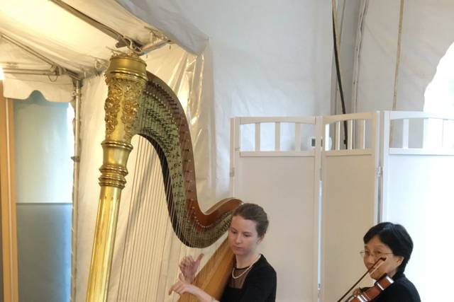 The Gilded Harps 3