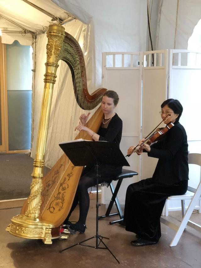The Gilded Harps - 3
