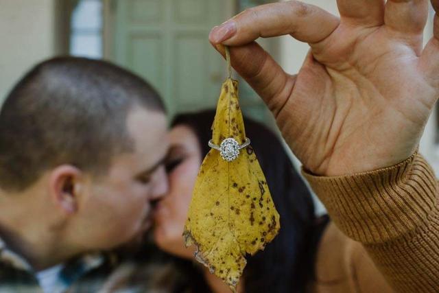 AM Photography - 1