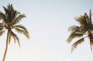 Tara Lee Photography - 119