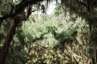Ashlee C. Photography - 11