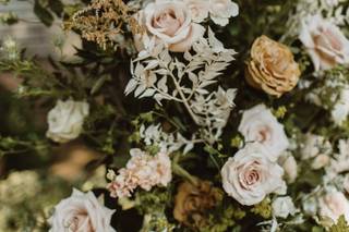 Ivory and Beau - 105