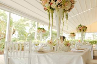 Evolution Eventos - 13