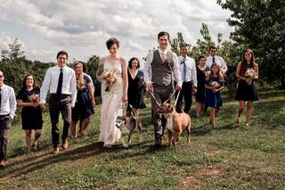 Rebecca Lynne Photography - 10