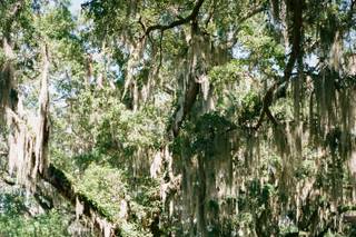 Coastal Discovery Museum - 11