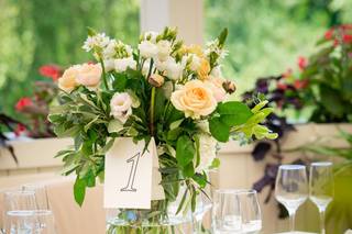 LightStrikes Photography - 21