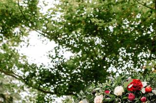 Beckoning Blooms - 38