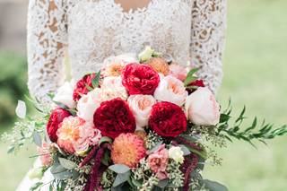 Dahlia a Florist - 26