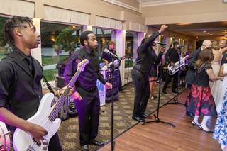 Green Fourteen Weddings - 14