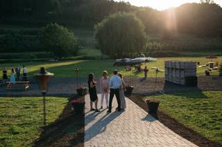 Nostrano Vineyards - 30