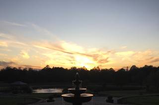 Atkinson Farms - 19