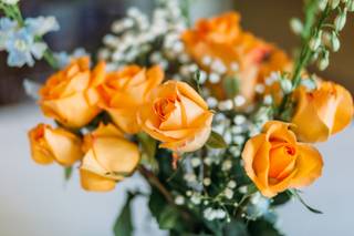 Brigette Burgman Photography - 10