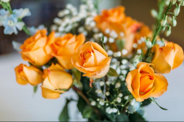 Brigette Burgman Photography - 4