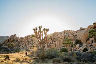 J.Perryman Photography - 44
