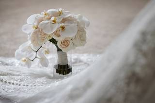 Lush Blooms - 24