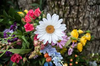 Daisies n' Such Wedding Designs and Consulting - 10