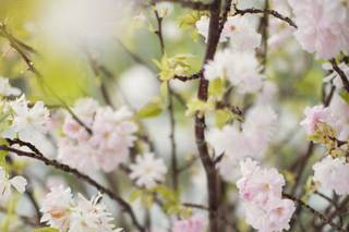 Mimosa-Floral Design Studio - 15