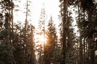 Will Khoury Photography - 149