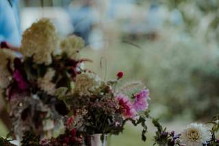 Cedar Circle Farm - 52