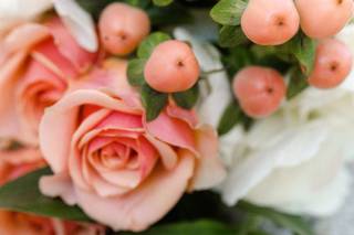 Bronston Photography - 57