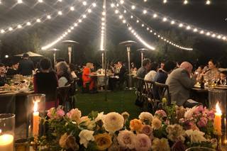 Shindig Chic - 37
