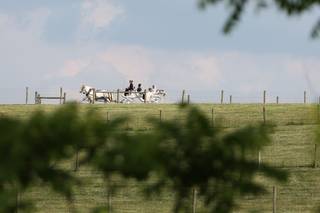 East View Farms and Venue - 22