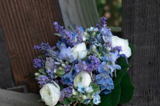 Sally Carpenter Photography - 42
