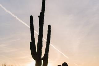 Kaila Cales Photography - 8