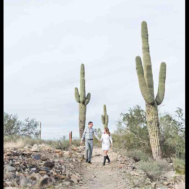 Kylie McCarthy Photography - 1
