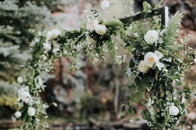 Alicia Lewin Photography - 4