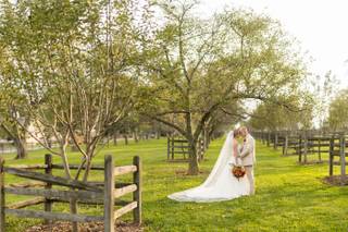 Mark Webb Photography - 1
