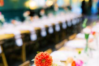 Alissa Noelle Photography - 5