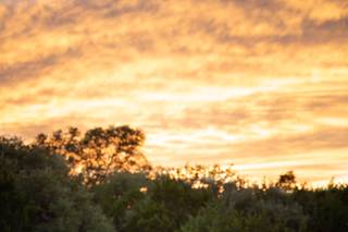 Moodyography - 11