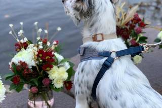 A Wedding in a Wink - 13