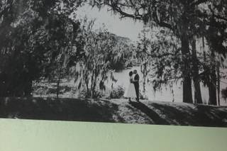 Misty Miotto Photography - 53
