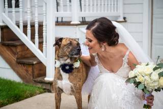 Joe Lewis Photography - 13