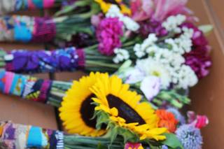 Nicole Malmquist Photography - 19